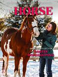 The Horse Current Issue